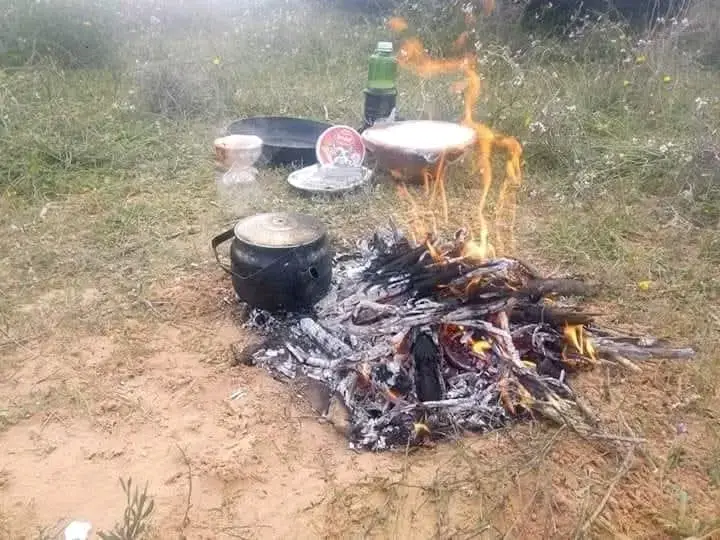 داويت ليام بالصبر .. وليام صاعب دواهم لايقبلوا لوم لاعذر... ومجبور تمشي اخطاهم يعلوك فوق للبدر. تفرح وتزهى معاهم ويسقوك امر من المر . تشوف نجمهم في ضحاهم