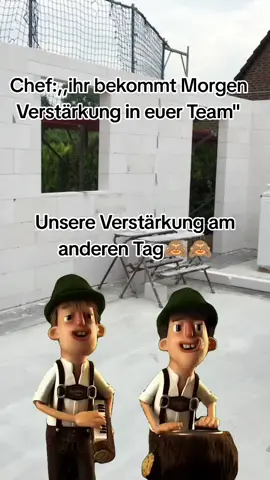 Verstärkung.#Meme #MemeCut #CapCut #work #kollege 