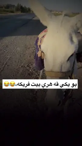 سلنه به 🙂😂#viral💙🦋 #foryou💙🔥🔥 #foryou💙🔥 #frmesk👑 #takk💙 