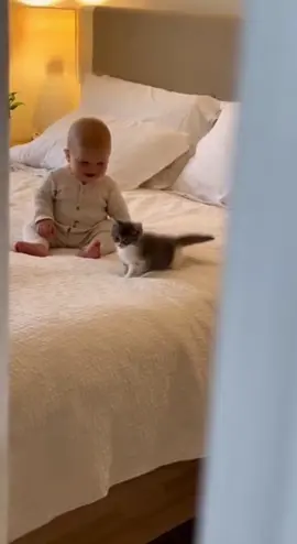 Bebek ve yavru kedi kameraya yakalandı, birlikte oynayıp konuşuyorlar. #baby #cute #keşfet #funny 