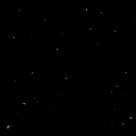 حبيتها و ف ايدي حطيت دبلتها 🐣❤. 