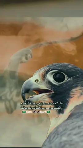 #السعودية🇸🇦⚔️🇸🇦العظمى 