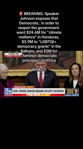 🚨 BREAKING: Speaker Johnson exposes that Democrats — in order to reopen the government — want $24.6M for 