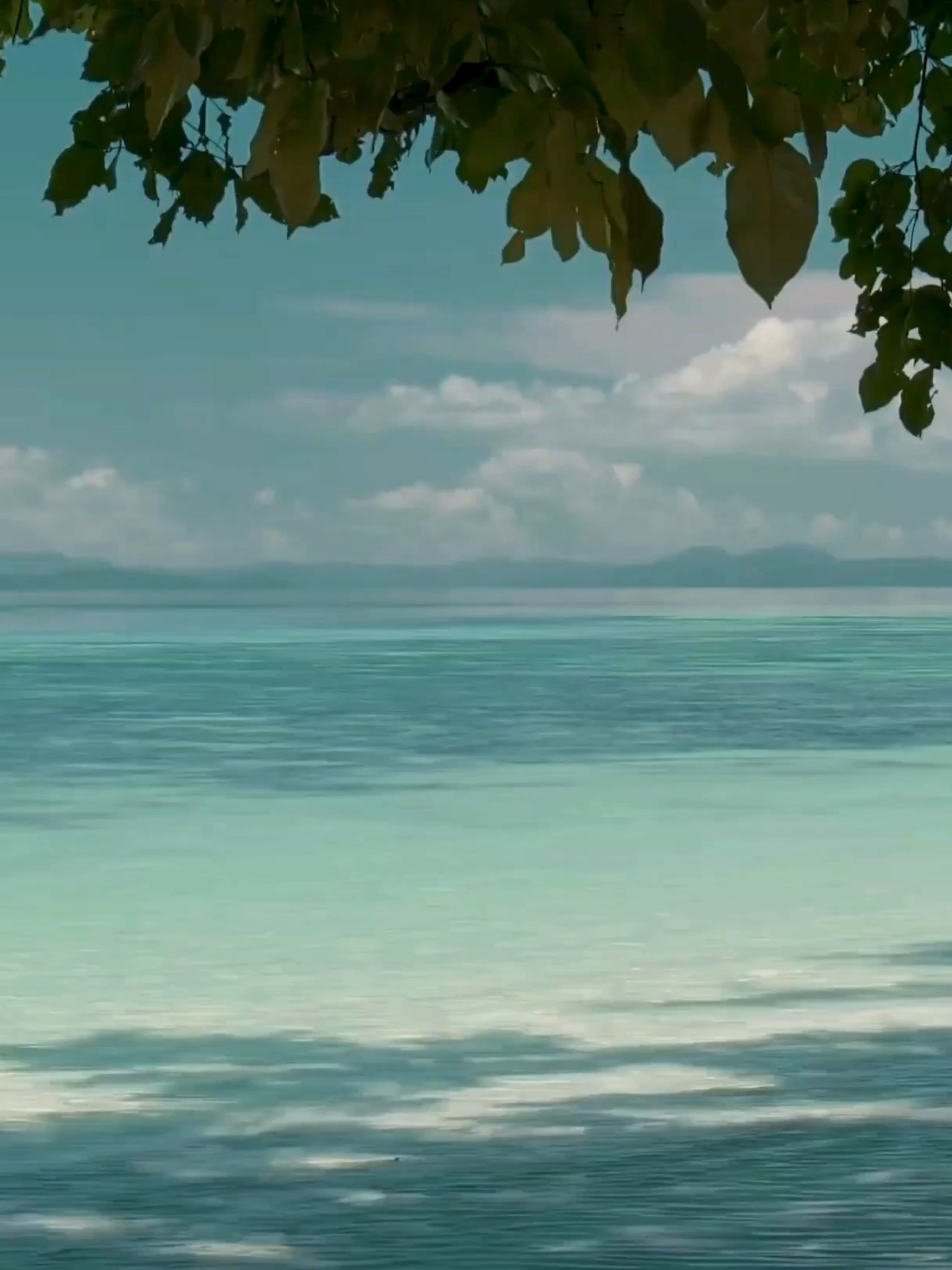 Pourquoi un pervers narcissique gâche des moments spéciaux ? #RelationToxique #manipulation #pn #perversnarcissique #pourtoi