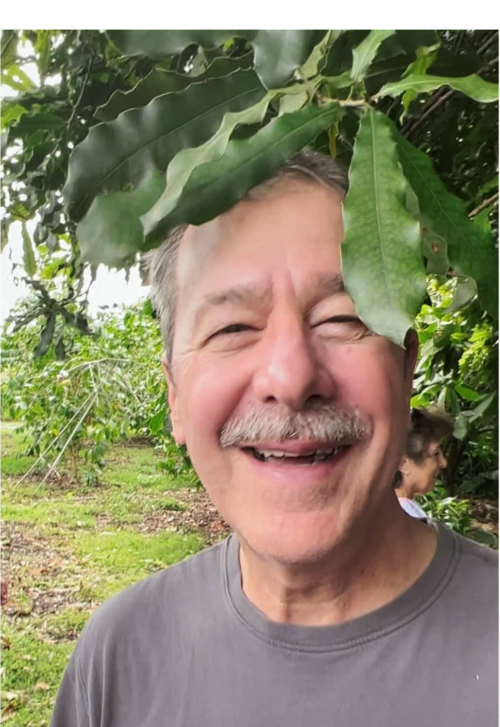 What if my hair was leaves?   #hair #leaves #question #inspiration #humor 