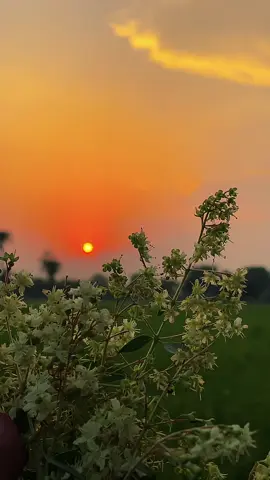 مجھے یاد ہیں میرے کانپتے ہاتھ،ٹوٹی ہوئ سانسیں۔۔ مجھے کسی نے بہت قریب سے موت دکھائی تھی🥹