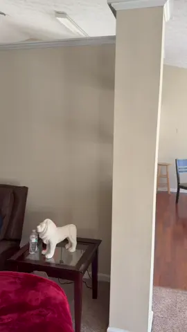 Larry tries to explain to Bethany who D'Angelo is and how he passed  #kountrywayne #comedytiktok #jesus #comedian #videoviral