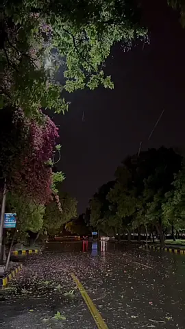 #CapCut.        ماعاد لي خاطر ولا عاد لي نفس #سعد -المسعودي#تصميم_فيديوهات🎶🎤🎬 