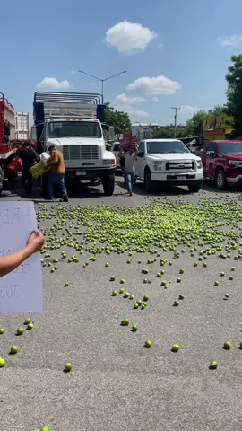 #apatzingan #michoacan #limonerosdeapatzingan #presiosjustos#14deoctubre 