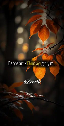 Herkesten… #kırılmak #üzüntü #Zezeİle #fpyシ #küsmüyüzkeşfet @ne_idugubelirsiz @Zezeİle