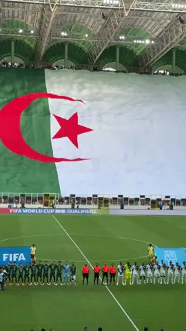 #algeria #coupedumonde #viral #fyp 