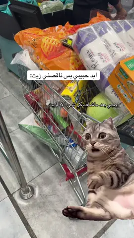 #fippppppppppppppppp #مقاضي_البيت #اعادة_النشر🔃 #MemeCut #trivia 