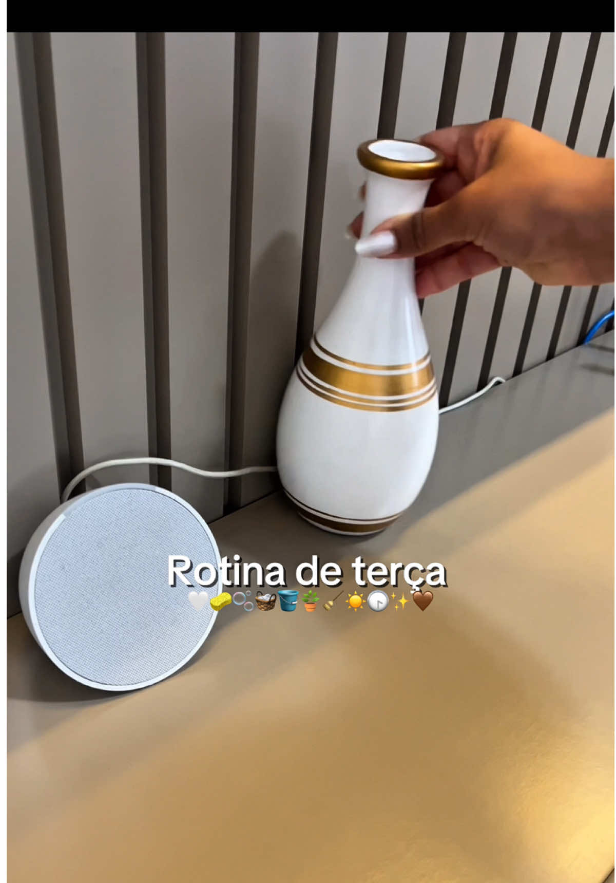 Rotina de terça 🤍✨ . . . . . #rotina #terca #limpeza #casaorganizada #casaaconchegante 