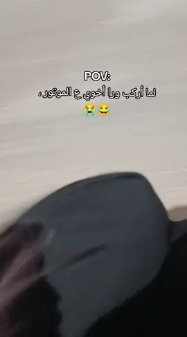 @علي القرجي 😂😭😭 