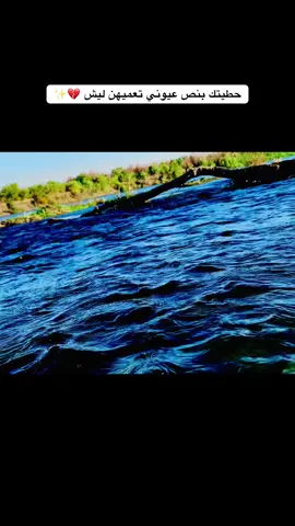 حطيتك بنص عيوني تعميهن ليش 💔✨#تصويري📷 #عباراتكم_الفخمه📿📌 