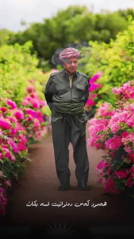 #CapCut #amb #barzani👑مالابارزان #barzan #barzani👑 