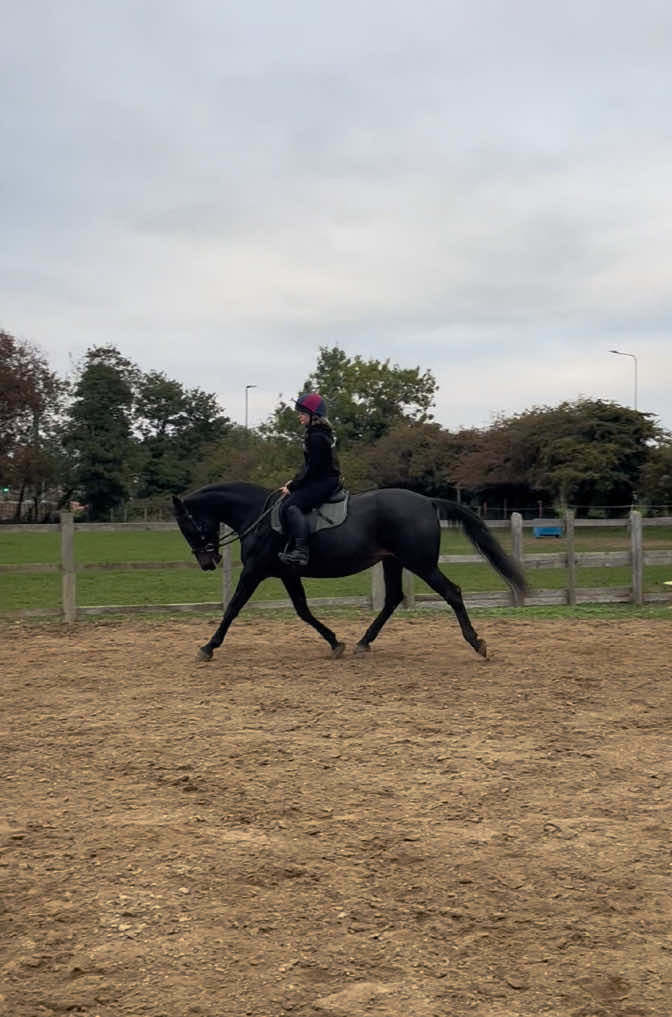 Somewhat Improving #fyp #viral #backbritishfarming #yfc #blackbeauty 