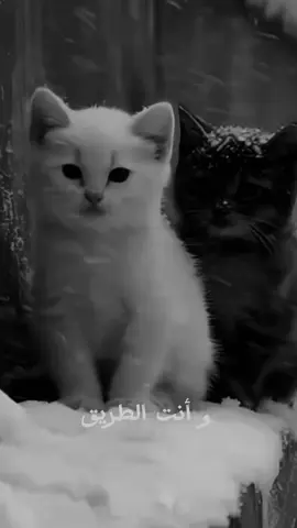 #وانت_الطريق_وانت_الصديق  ♥️