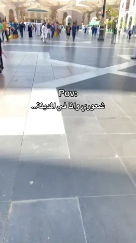 ما نفسكم تجو المدينة؟! طيب اتواصلو معانا نجهز ليكم تأشيراتكم وسكنكم لو عايزين وحتى استقبالكم 💃😅❤️. #صلوا_على_رسول_الله #المدينة_المنورة #تفاؤل_الخير_للسفر_والسياحة #سفر_وسياحة #sudanese_tiktok 