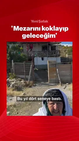 Fırat Kalkanı Harekâtı’nda şehit düşen torunu Astsubay Kıdemli Başçavuş Hamza Şimşek’in mezarını ziyaret etmek isteyen şehit ninesinin isteğini, “Ankara Abisi” yerine getirdi. 🔗 @ankaraabisi06 #şehit #ankaraabisi #sonistek 