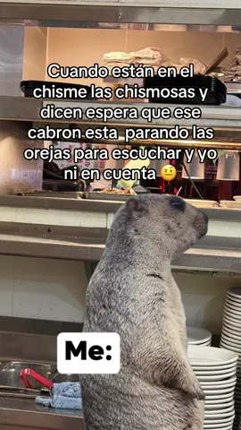 #MemeCut #Meme #MemeCut 