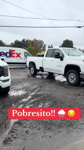 #foryou #paratiiiiiiiiiiiiiiiiiiiiiiiiiiiiiii #rain #dog #cold 