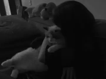 #en4aaa #foryou #muhsenchawshi #foryoupage #ئەکتیڤبن🥀🖤ـہہـ٨ــہ @For You @TikTok 