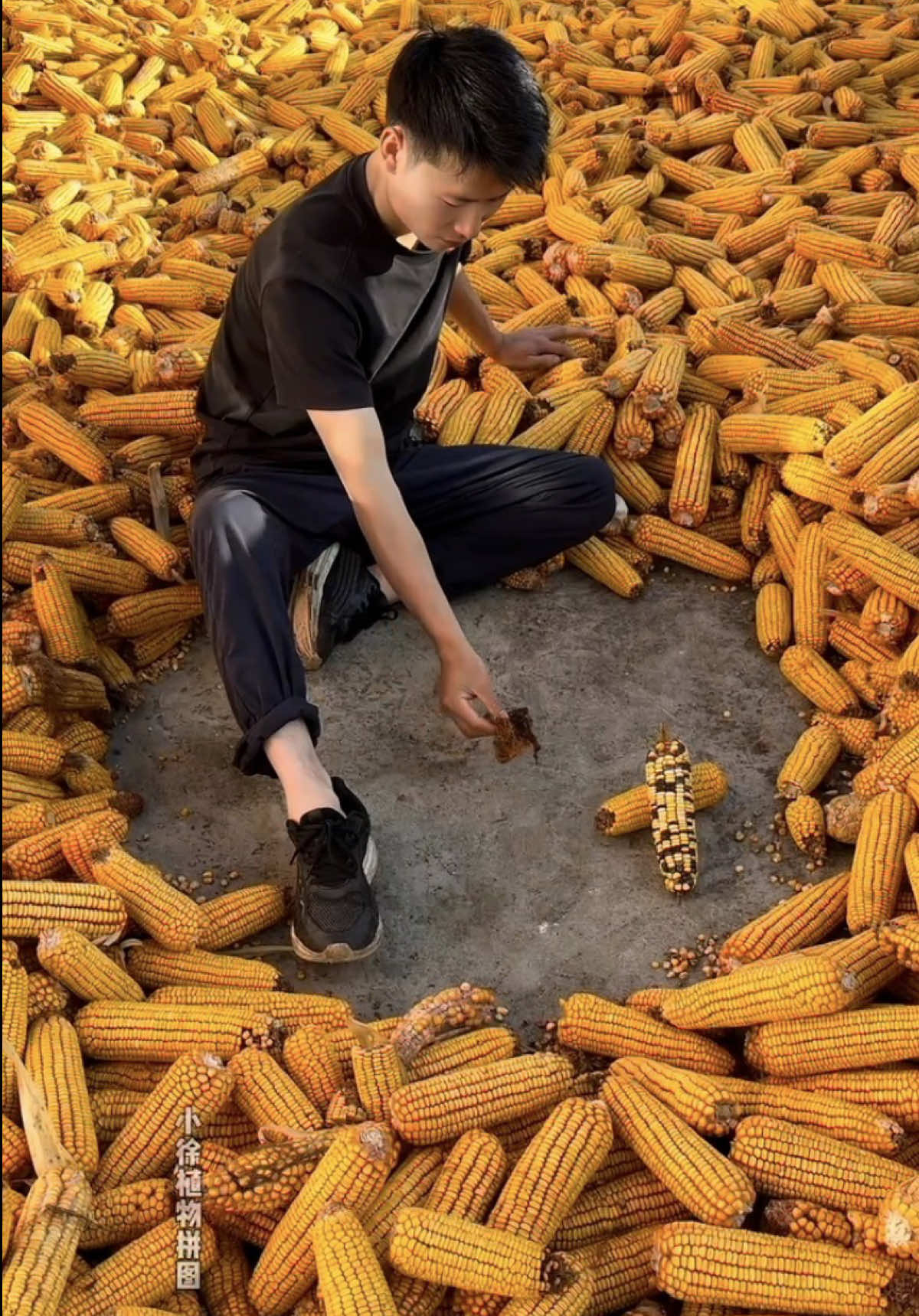 Xiao Xu creates ephemeral portraits on the ground using materials from nature: corn kernels, leaves, petals, twigs, earth pigments, seeds, and more. He arranges them so that each human figure emerges from the natural elements as if the earth itself breathes life into it. Artist: 小徐植物拼图 / xuyifan9903 on Douyin   #art #natureart #artist