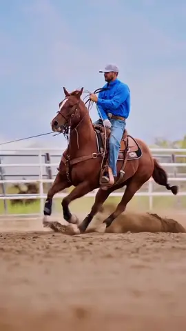 Rolling thru the corner 😎 #ropingdummiestexas - Video: @thebpranch  #roping #teamroping #rodeo #cowboy      