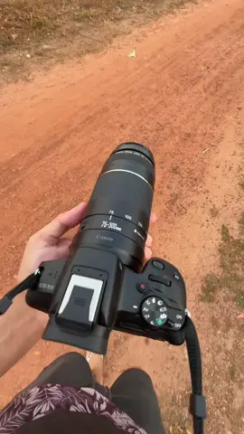 #camera #canon #r50 