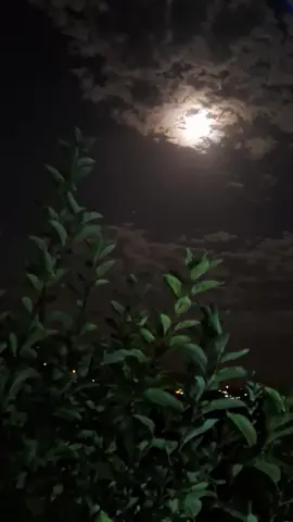 #بتنفسك متل مجنون🫂❤️‍🩹