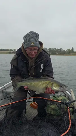 Great day on the water and a lovely zander. Caught on a smelt injected with @Dynamite Baits liquid predator 👌 #pesca #carpfishinguk #angling #zander #walleye 