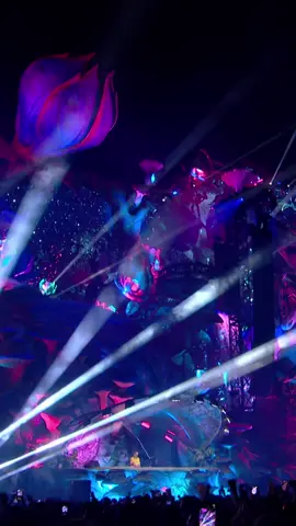 Beautiful moment at @Tomorrowland Brasil ❤️ #electronicmusic #tomorrowlandbrasil #tomorrowland #festivalnotiktok #lostfrequencies 