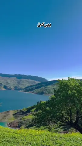 ئــەو جــەوە🥹💚،#شەمێران #تاوگۆزی #سلێمانی_هەولێر_کەرکوک_دهۆک #لایکو_کۆمێنت_فۆڵۆلەبیر_مەکەن #هەڵەبجە 