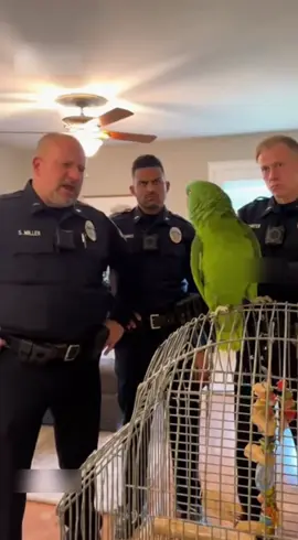 Parrot bullies the cops. #funnyvideos #sora #police #viraltiktok #viral 