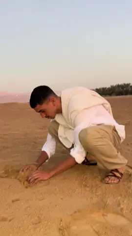 אוהב חול הבחור