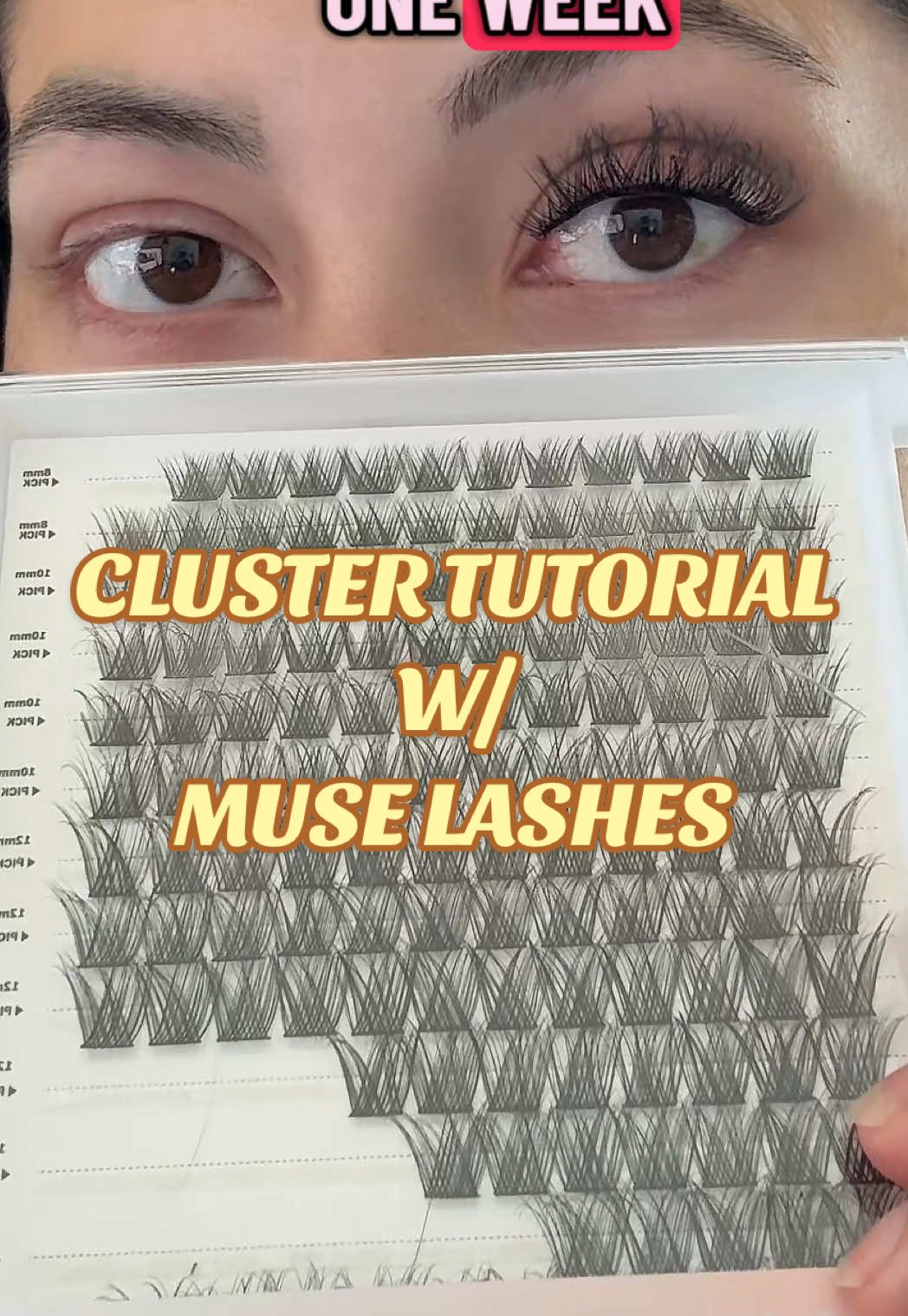 Long lasting DIY lash cluster tutorial with @MUSELASH waterproof lashes. Very natural looking and feel real!  #muselash #museyourbeauty #lashextensions #clusterlashes #wispylashes 