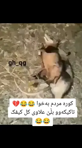 #في هذا اليوم 