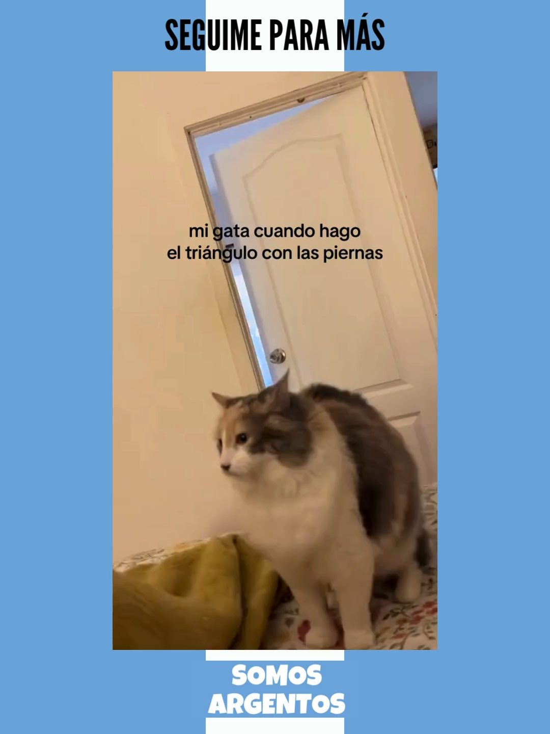 ¡SEGUIME PARA MÁS!