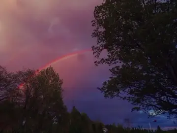 what can l say// #song #fupシ 