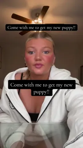 Everyone welcome Miss Mittens!! #dachshund #puppy #surprise 