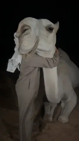 #NF #الحبردي #نواف_بن_فيصل #اكسلبورر_explore #اكيبلورررررررر #مالي_خلق_احط_هاشتاقات #الشعب_الصيني_ماله_حل #السعب_الصيني_ماله_حل😂😂😂 #fyp #explore #jungkook #foryoupage #حركة_إكسبلور 