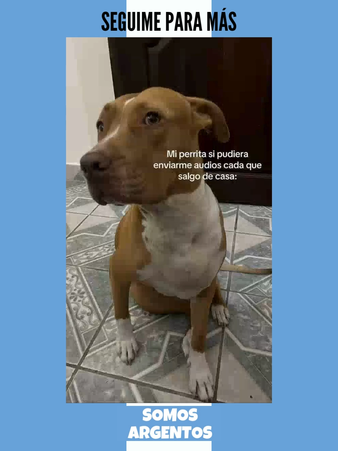 ¡SEGUIME PARA MÁS!