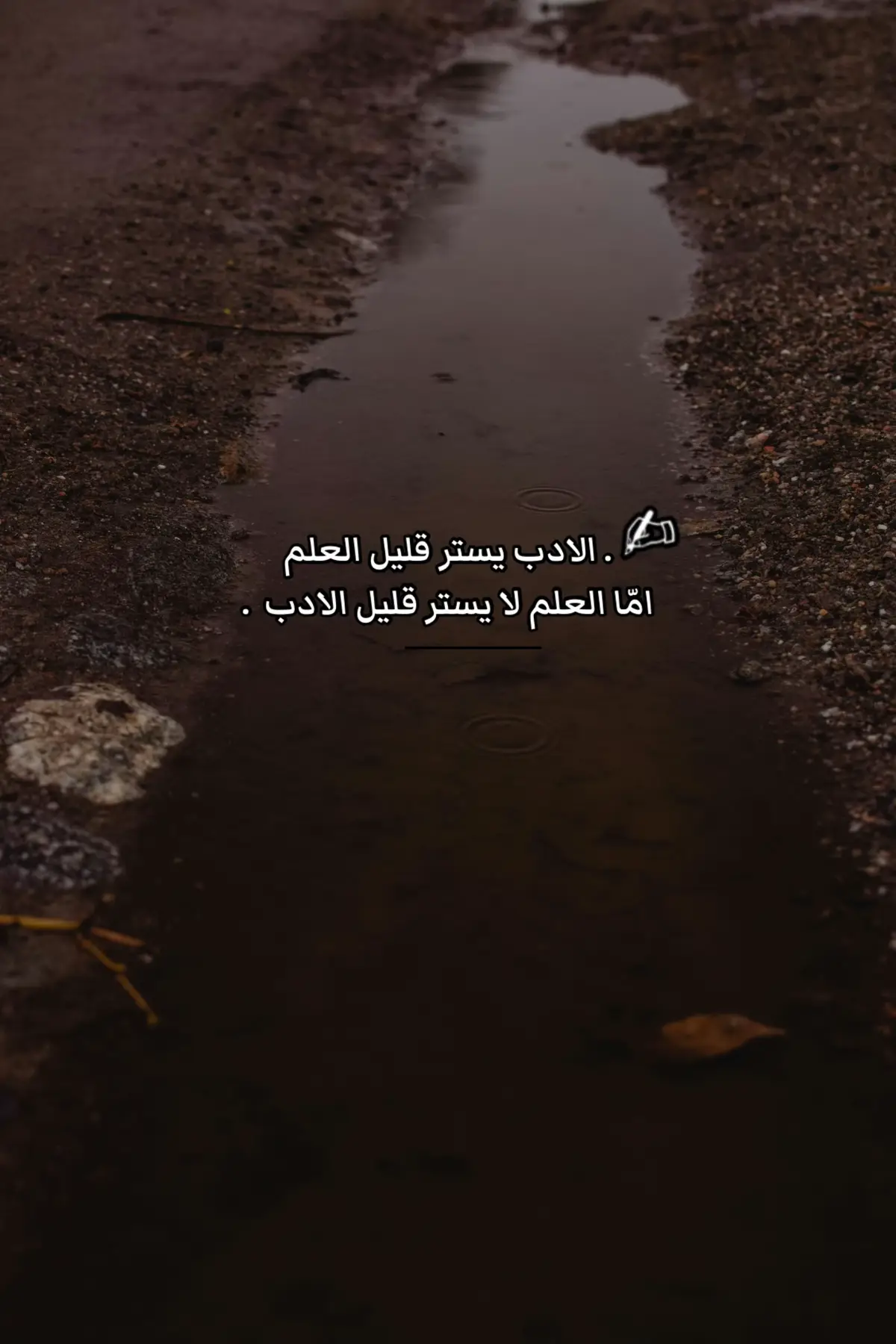 الادب يستر قليل العلم امّا العلم لا يستر قليل الادب