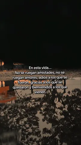 Realidad  #paratii #frases #motivation #leydevida #realidad 