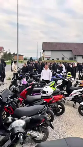 Počivi v miru mazi pogrešu tebom 💜🕊️ #rip #mazi #revformazi #missyou #fyp 