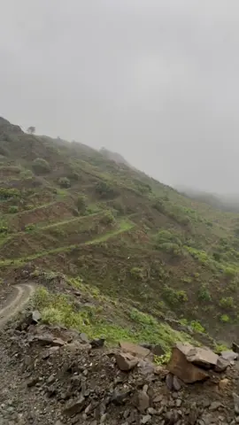 عندما يلتقي الغيم بالجبل ويهطل المطر بهدوء تتجلّى روعة الطبيعة في أجمل صورها وكأن السماء تعانق الأرض بحنينٍ عابر🏔️🌧️📸#كسبلور 