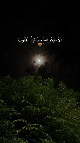 #الا_بذكر_الله_تطمئن_القلوب 🤎