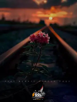 🤍#song #foryou #status #500k #feel🥀 