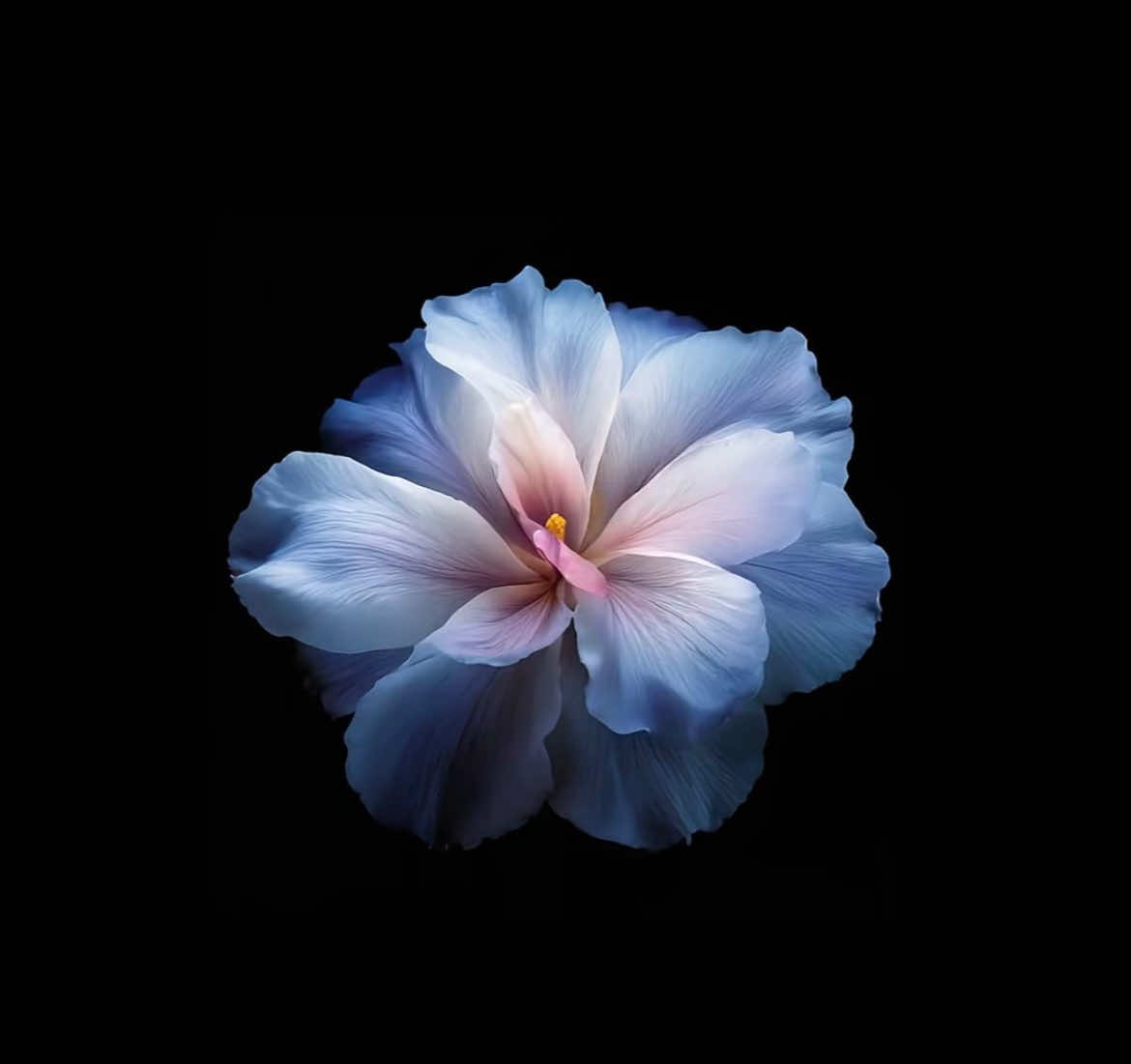 ~~~ #emotion #audio #trend #sadlyrics #vibes 